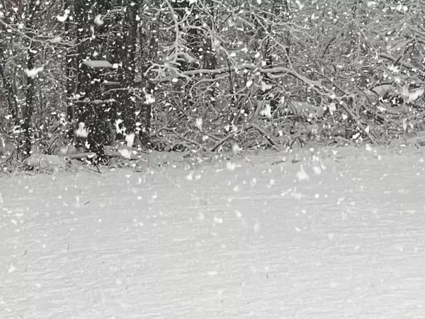 Buying a Home in the Wintertime in the Midwest