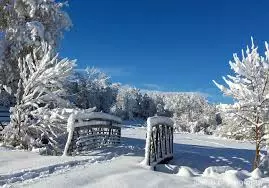 Touring Homes in the Snow: What to Expect and How to Prepare