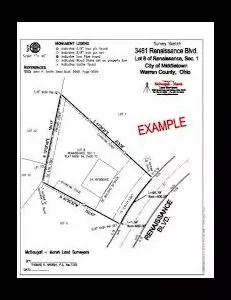 What Is the Purpose of a Real Estate Survey?