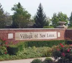 New Lenox, IL-Single Family/Condo/Townhome Sale in 2025 and what was the average selling price and days on market?,Brent Wilk