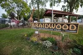 Braidwood, IL-Single Family Sale in 2023-2025 and what was the average selling price and days on market?