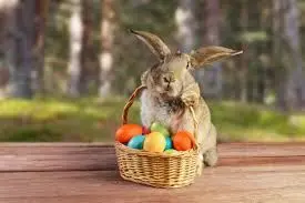 Inside the Easter Bunny’s Dream Home: A Whimsical Springtime Retreat,Brent Wilk