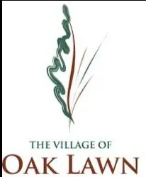 Oak Lawn, IL-Single Family/Condo/Townhome Sale in 2025 and what was the average selling price and days on market?,Brent Wilk