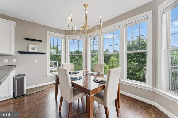 43019 MILL RACE TER, Leesburg, VA 20176