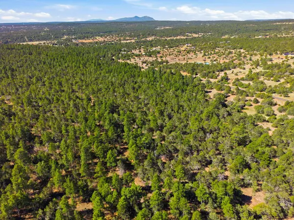 70 Anaya RD, Tijeras, NM 87059