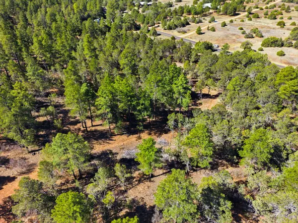 70 Anaya RD, Tijeras, NM 87059