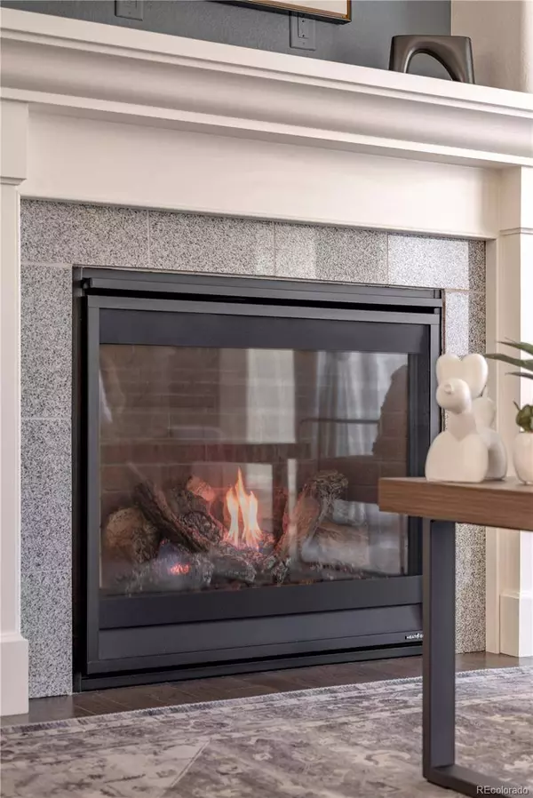 2490 Lassen LN, Castle Rock, CO 80109