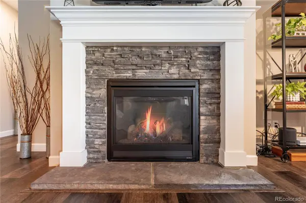 6682 Angelique AVE, Castle Rock, CO 80108