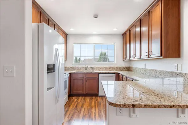 646 Hanging Rock PL, Castle Rock, CO 80108