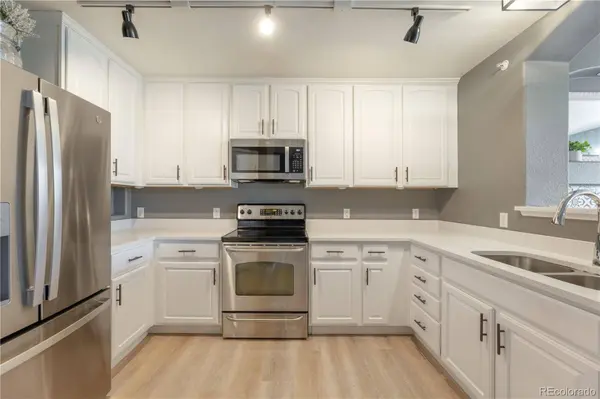 431 Black Feather LOOP #811, Castle Rock, CO 80104