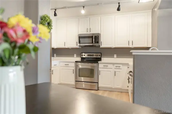 431 Black Feather LOOP #811, Castle Rock, CO 80104