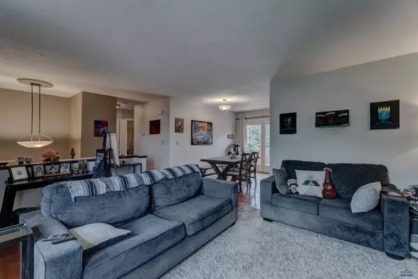 14741 E Valley View Dr, Piedmont, SD 57769