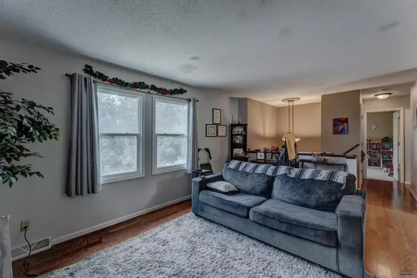 14741 E Valley View Dr, Piedmont, SD 57769