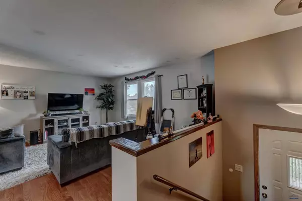 14741 E Valley View Dr, Piedmont, SD 57769