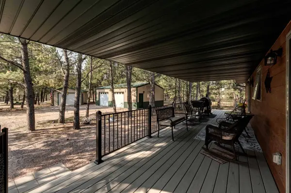 25595 Moonlight Drive, Edgemont, SD 57735