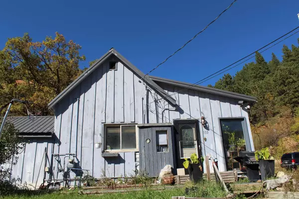 103 Pocket Gulch Avenue, Central City, SD 57754