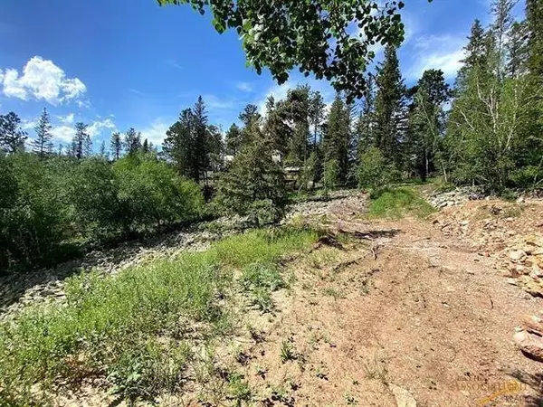 Blue Sky Loop, Lead, SD 57754