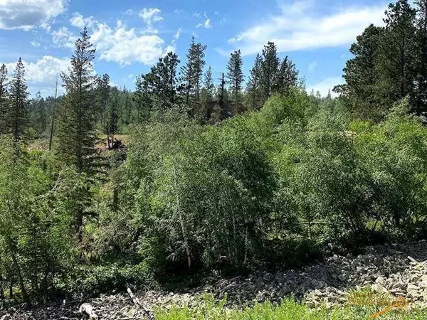 Blue Sky Loop, Lead, SD 57754