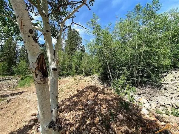 Blue Sky Loop, Lead, SD 57754