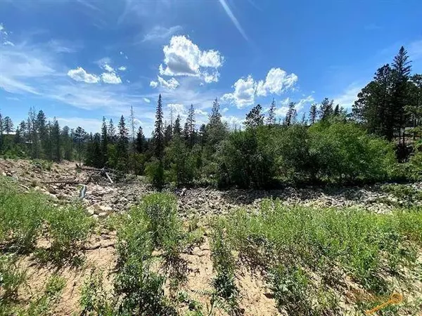 Blue Sky Loop, Lead, SD 57754