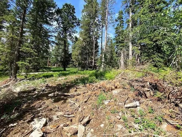 Blue Sky Loop, Lead, SD 57754