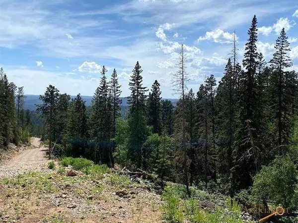 Blue Sky Loop, Lead, SD 57754