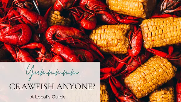 Crawfish Anyone?