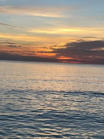 Shark Teeth and Sunsets: A Local's Guide to Venice's Gulf Beaches