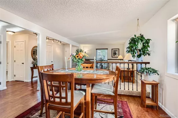 8156 Carr CIR, Arvada, CO 80005