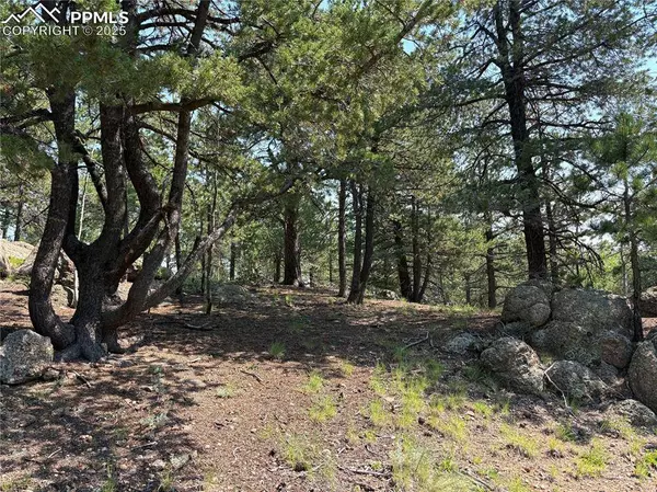 132 Elk LN, Woodland Park, CO 80863