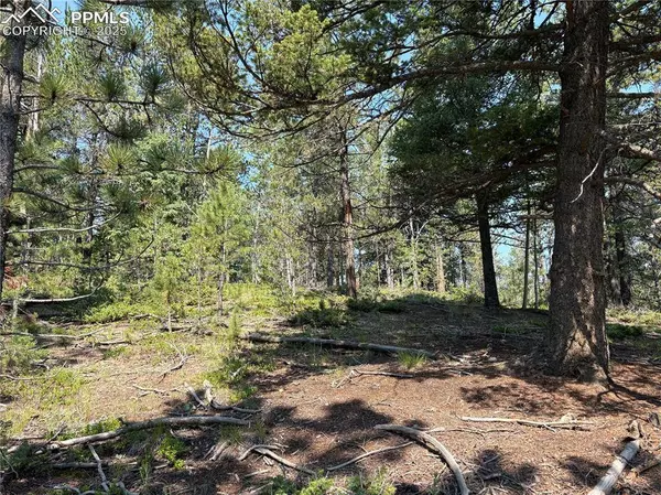 44 E Valley LN, Woodland Park, CO 80863