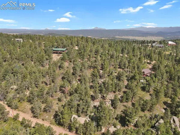 132 Elk LN, Woodland Park, CO 80863