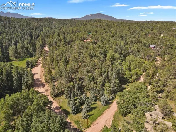 44 E Valley LN, Woodland Park, CO 80863