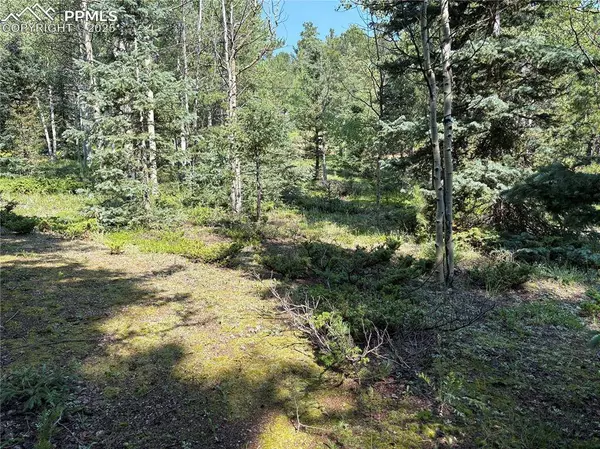 44 E Valley LN, Woodland Park, CO 80863