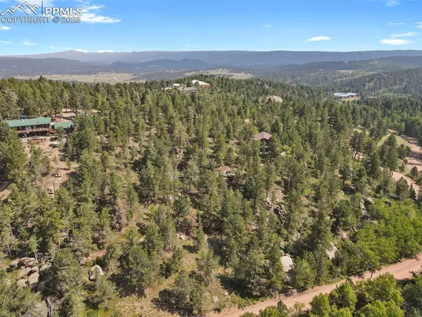 132 Elk LN, Woodland Park, CO 80863