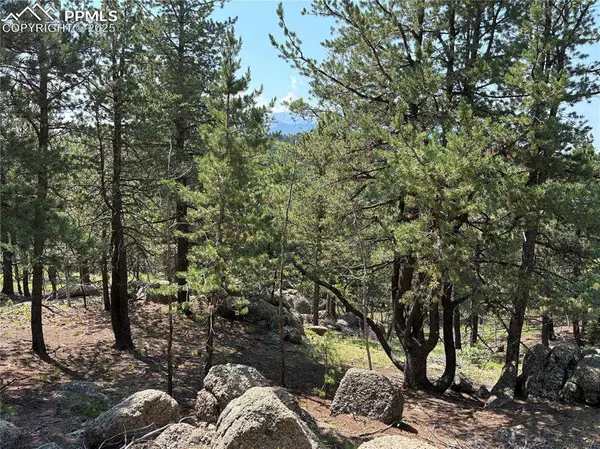 132 Elk LN, Woodland Park, CO 80863