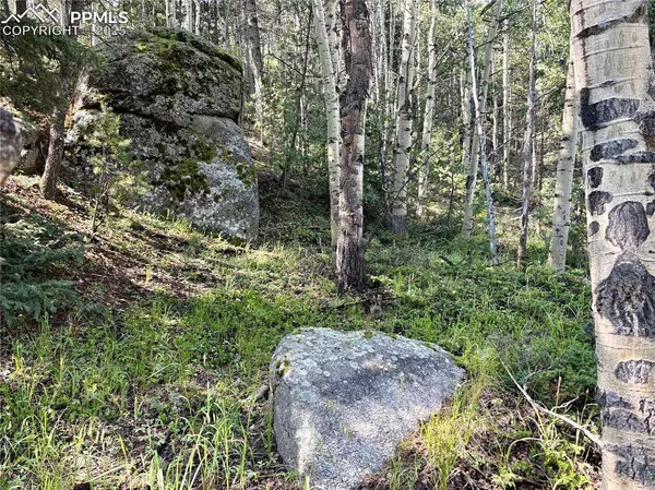 44 E Valley LN, Woodland Park, CO 80863