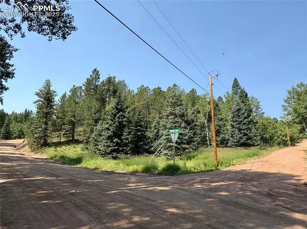 44 E Valley LN, Woodland Park, CO 80863