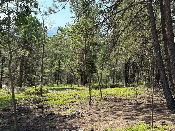 132 Elk LN, Woodland Park, CO 80863