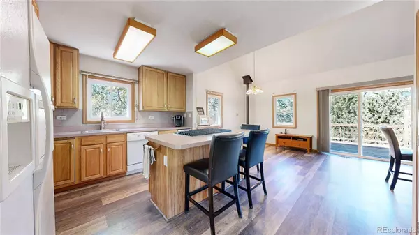 92 Four Bits ST, Bailey, CO 80421