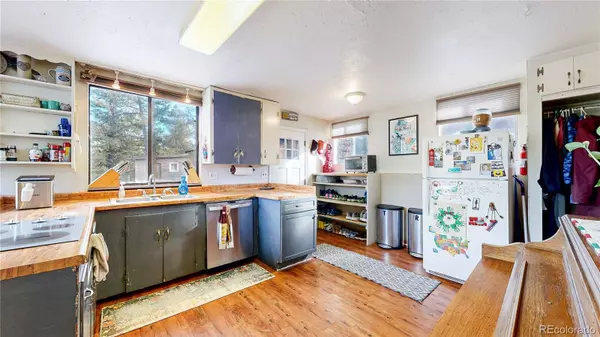 33988 Jenifer RD, Pine, CO 80470