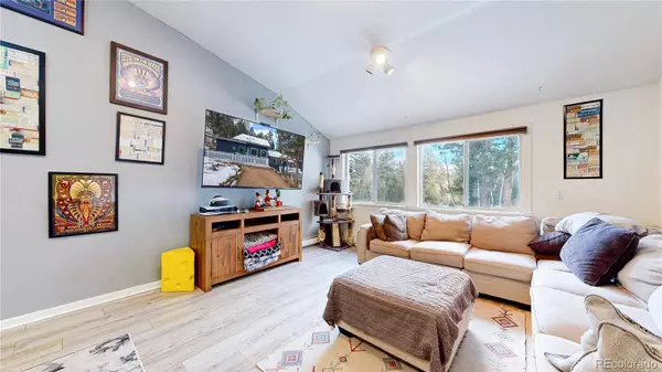 33988 Jenifer RD, Pine, CO 80470