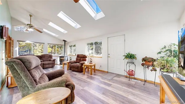 92 Four Bits ST, Bailey, CO 80421