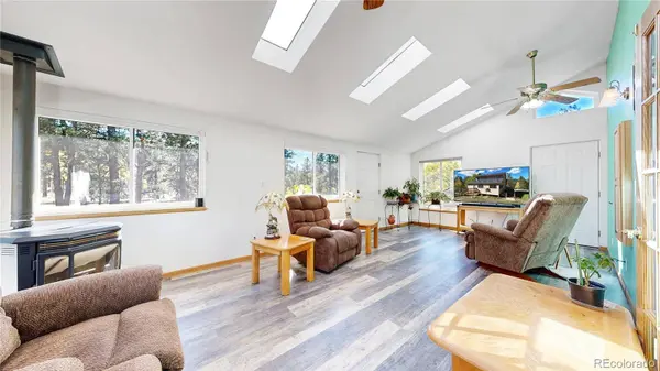 92 Four Bits ST, Bailey, CO 80421