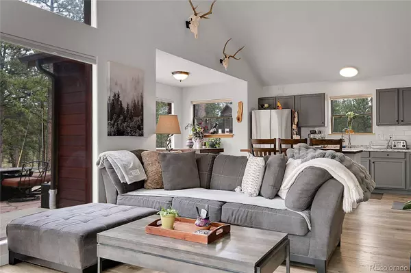 243 Bandit LN, Bailey, CO 80421