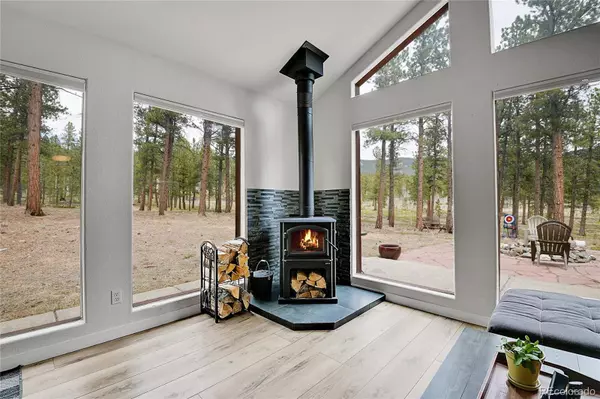 243 Bandit LN, Bailey, CO 80421