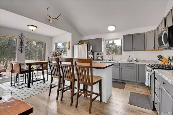 243 Bandit LN, Bailey, CO 80421