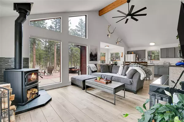 243 Bandit LN, Bailey, CO 80421