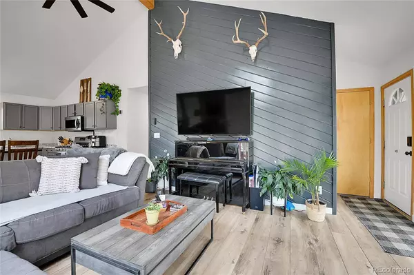 243 Bandit LN, Bailey, CO 80421