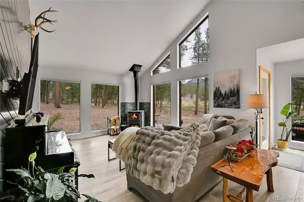 243 Bandit LN, Bailey, CO 80421